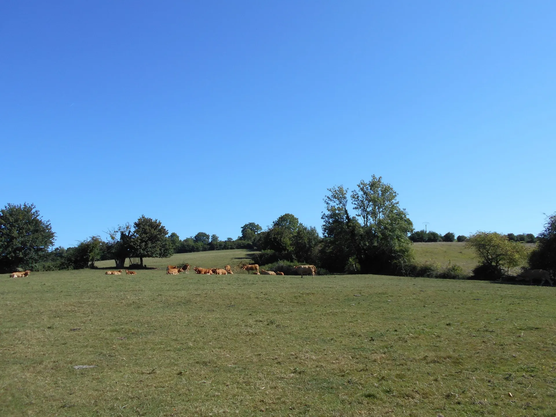 MANOIR, PROCHE MER, CALVADOS