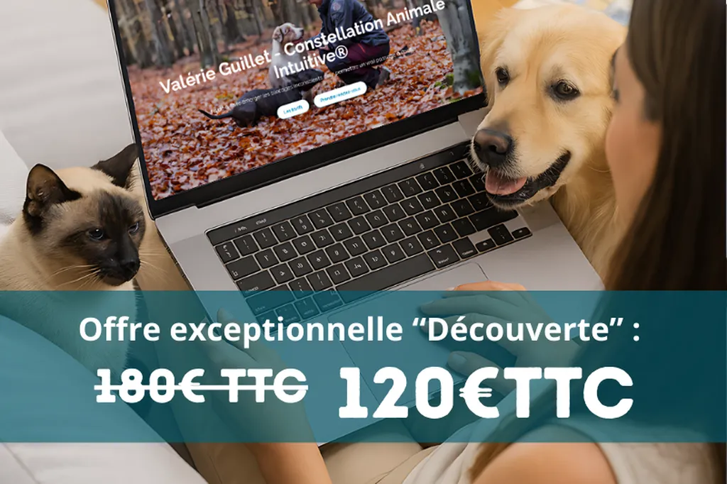 La Constellation Animale Intuitive par Valérie Guillet à Rouen et partout en France