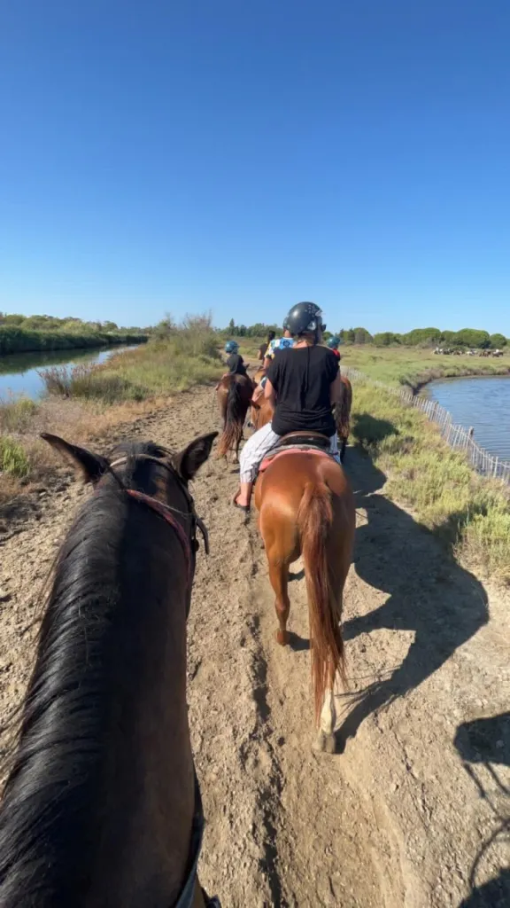 Balade à  cheval découverte de 1 heure dans les marécages de Camargue