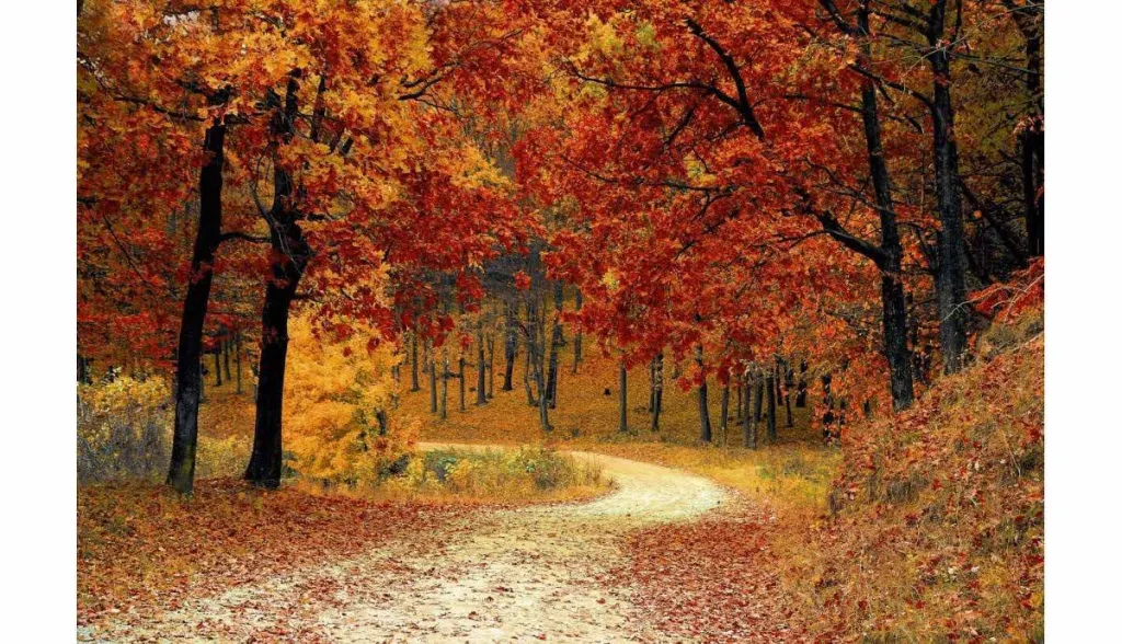 Entretien de chaudière à Marseille