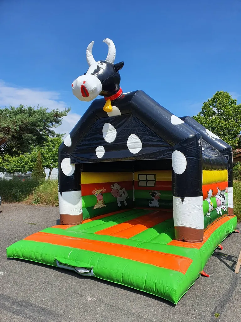 vente structure gonflable en occasion