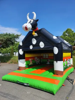 vente structure gonflable en occasion