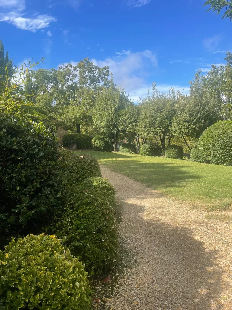 Taille de végétaux à Oppède (84) réalisée par nos paysagistes