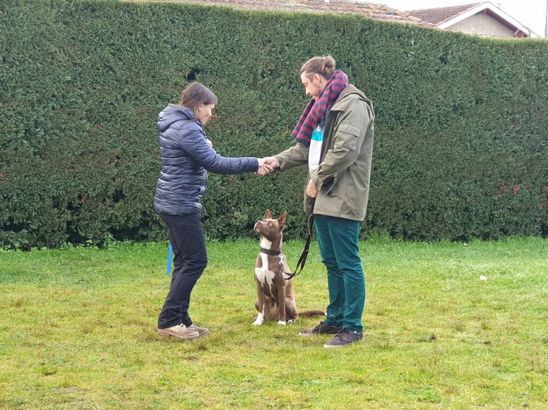 éducation canine Bordeaux