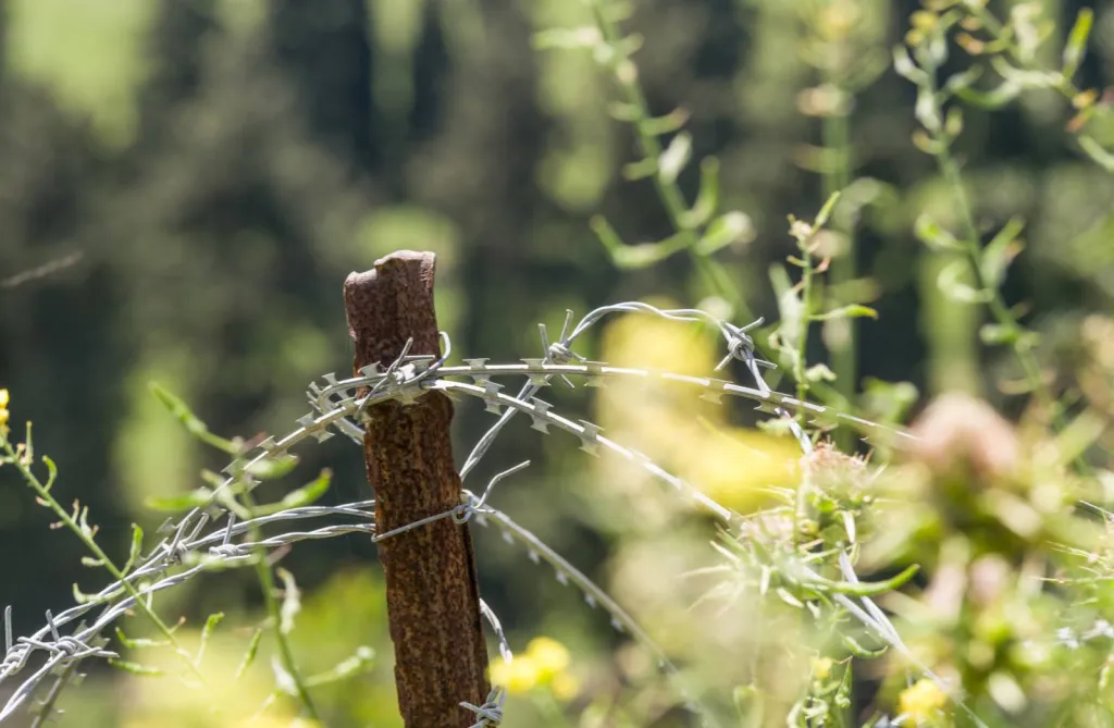Débroussaillage de terrain non constructible dans le Vaucluse (84)