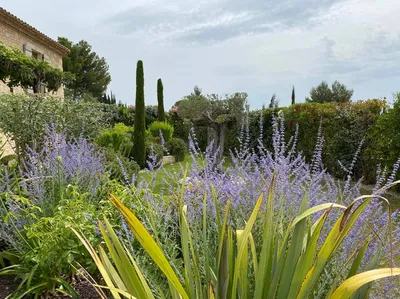 Aménagement paysager à Eyguières, créateur de jardins méditerranéens élégants et durables, 13430
