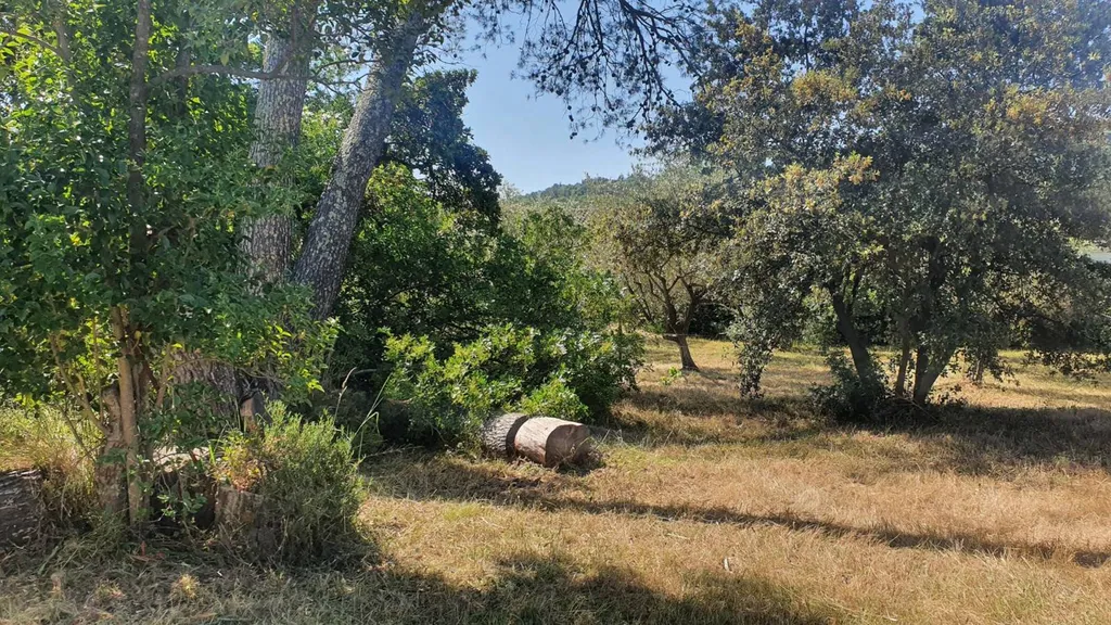 terrain à construire dans le Var