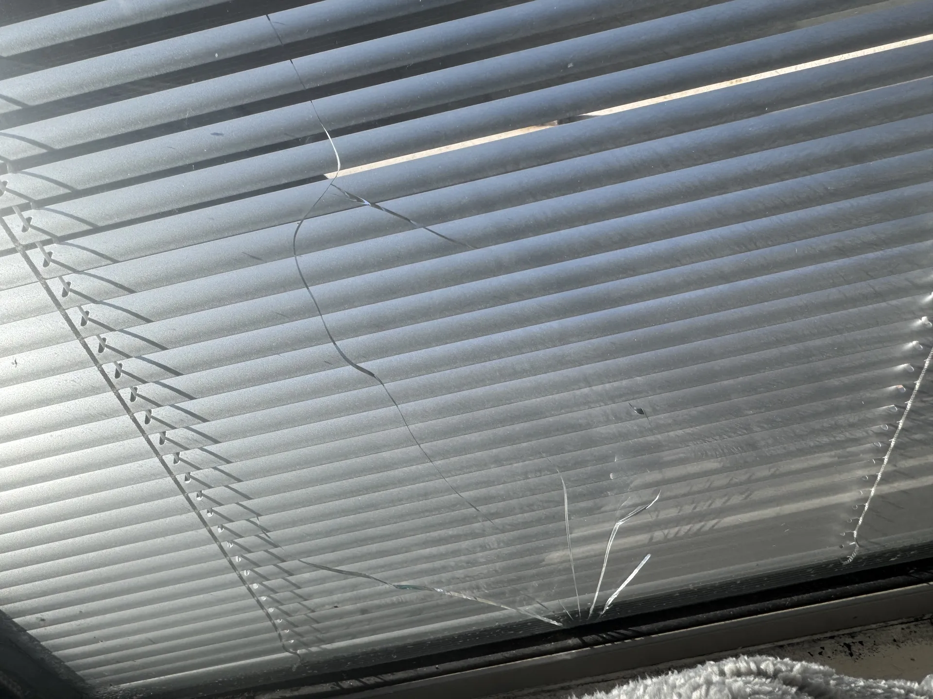 Remplacement de vitrage : une solution rapide et efficace