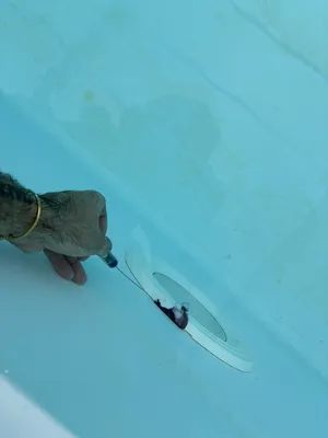 Localisation d'une fuite non apparente sur piscine liner en eau sans destruction à Bayonne dans le 64