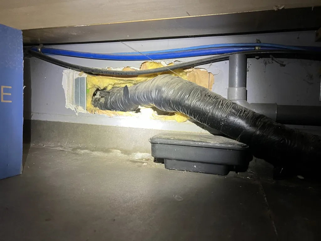 Problème de rats dans un entrepôt de stockage à Salon-de-Provence 13300 dans les Bouches-du-Rhône (13)