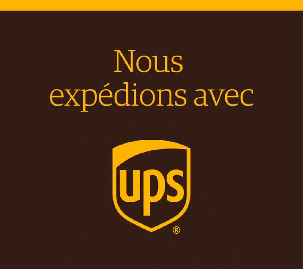 UPS Lyon