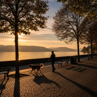 Promenade de chien pour personne hospitalisée ou en convalescence à Bischwiller et Bas-Rhin