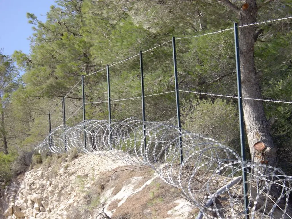concertina et deux rangs de barbelet 