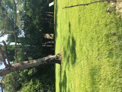 Tonte  de pelouse chez un particulier