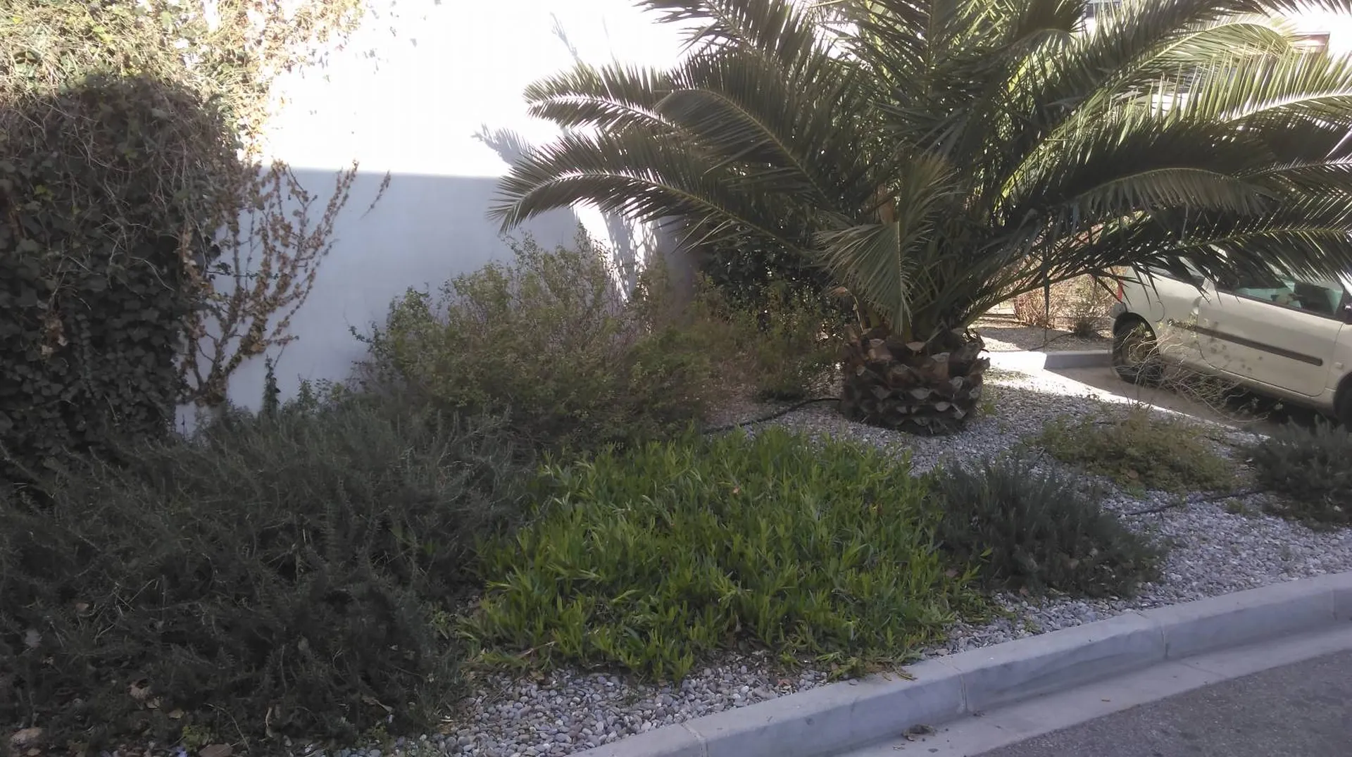 Création et Aménagements de Jardins pour les Entreprises sur Marseille