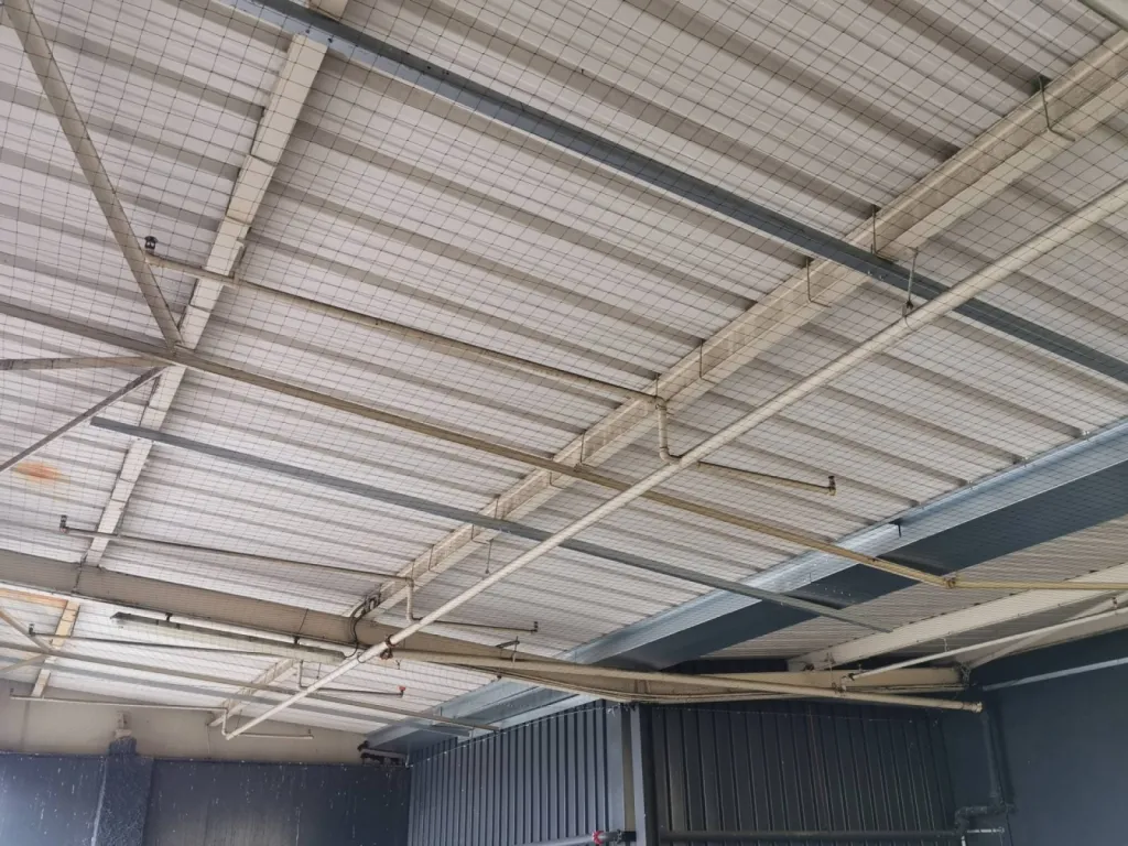 pigeons sous mon quai d'entrepot à rousset que faire efficace