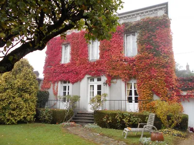 MAISON BOURGEOISE LISIEUX, Pays d'Auge, Calvados 14