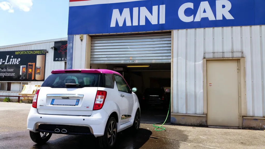 Minicar Ligier Js 50 Pink  