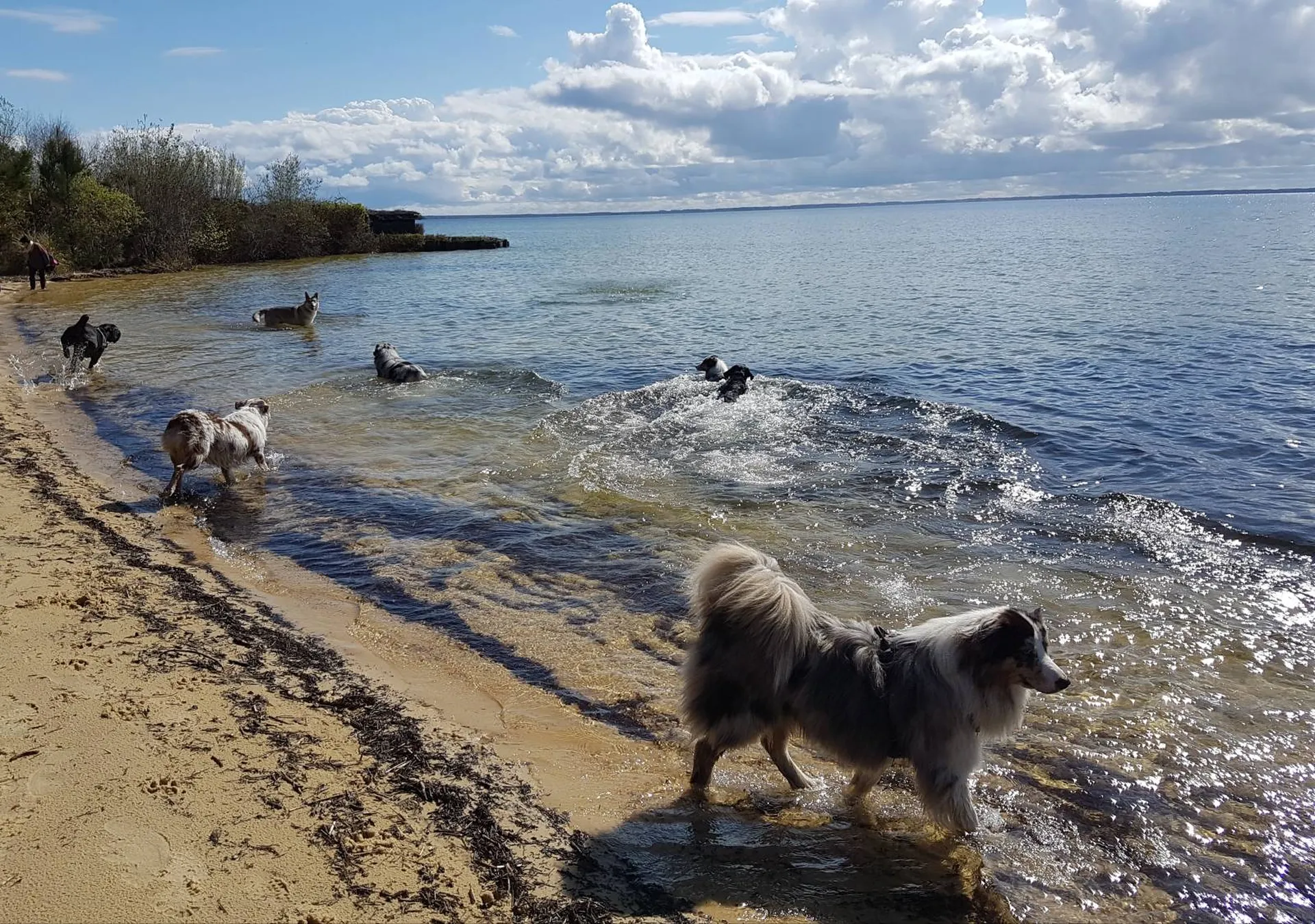 Balades Educatives sur la région bordelaise et le Bassin d'Arcachon.
