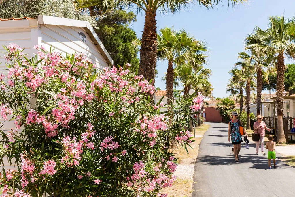 location de mobil home en Occitanie camping familial à taille humaine Le Mas de la Plage Bord de mer vias-plage