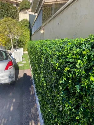 Pose du grillage plié sur mesure et feuillage artificiel à Nice