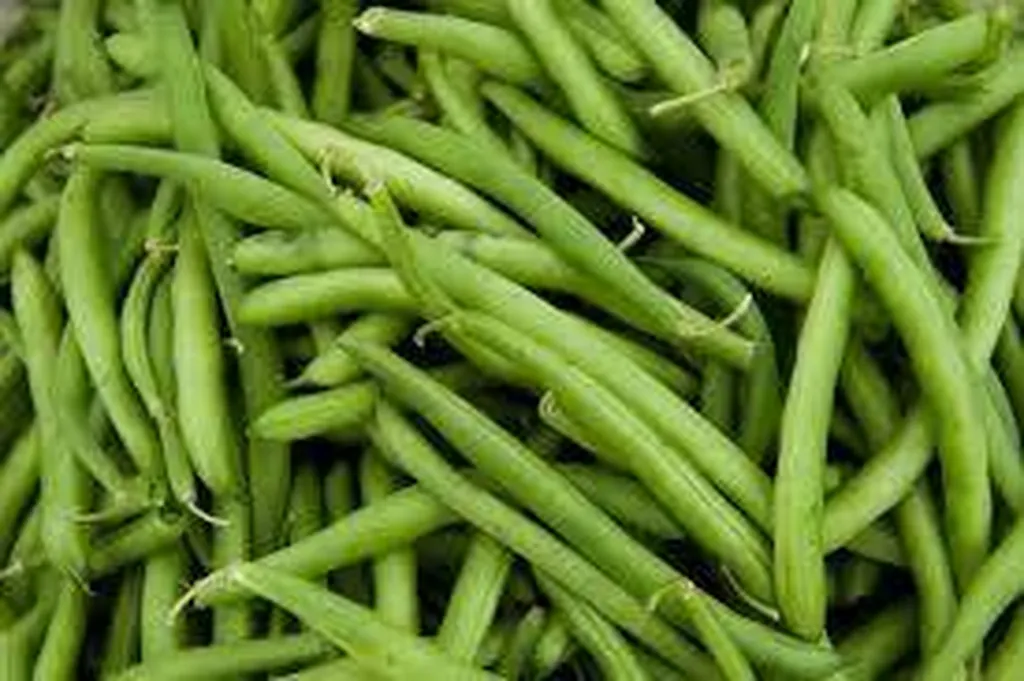 commande en ligne d' Haricots Verts avec livraison à domicile à Marseille