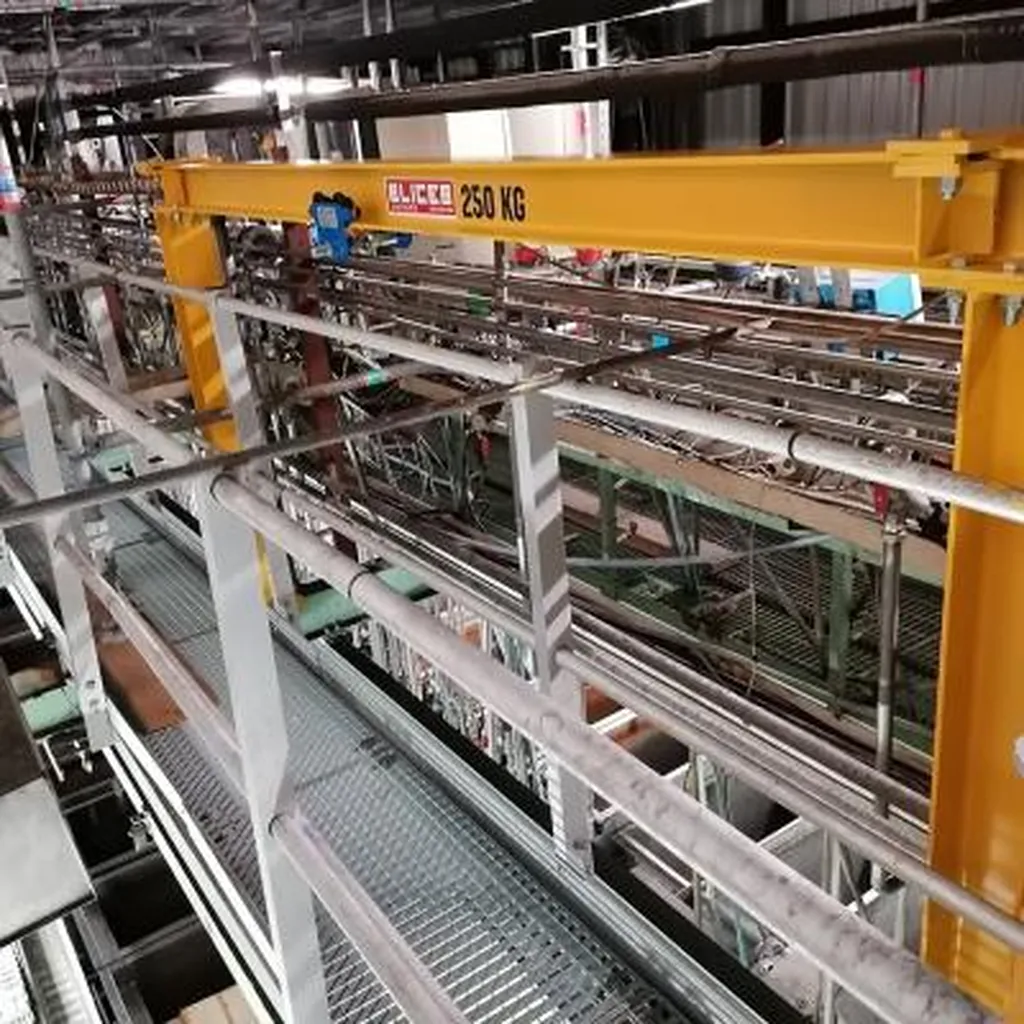 Réalisation d'un portique monorail palan à chaîne manuel à Bourg-en-Bresse dans l'Ain