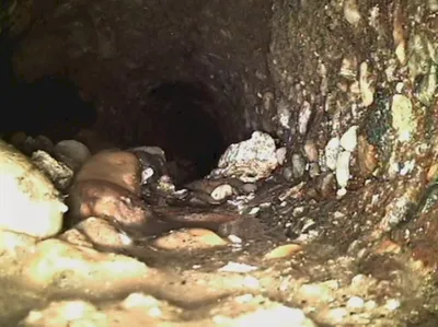 Fraisage lourd et hydrocurage d'une canalisation d'eaux usées à Montfavet proche Avignon(84)