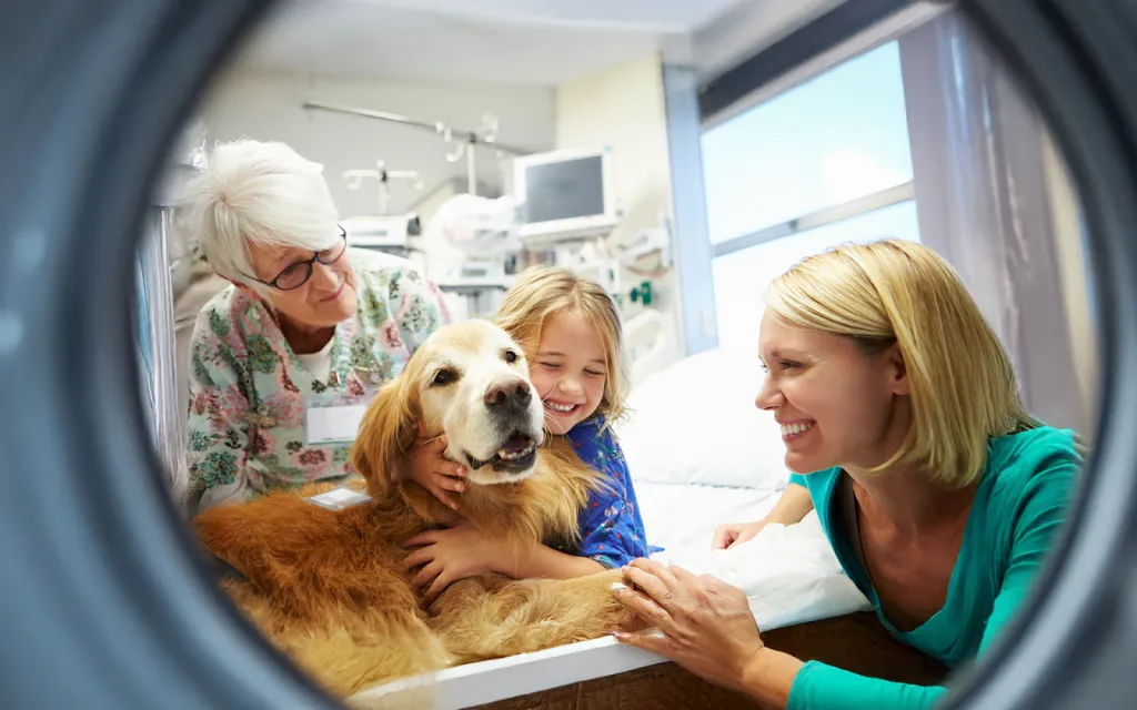 Valérie Guillet accompagne les vétérinaires, les dresseurs, les éducateurs animaliers en les formant à la constellation animale intuitive à Caen