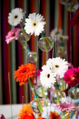 Se marier sur une terrasse de la côte Basque