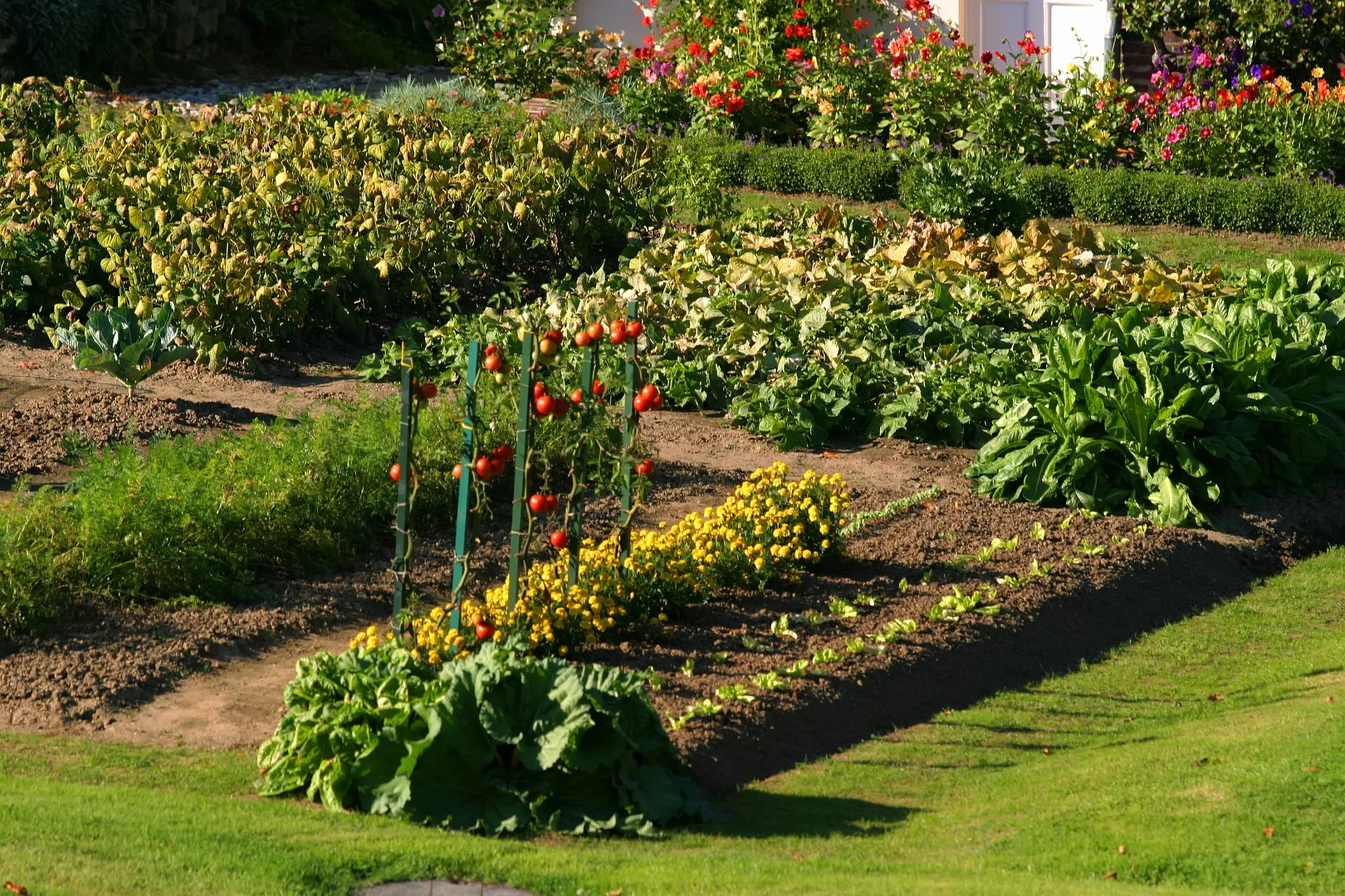 MAISON DE MAITRE Région LISIEUX Pays d'Auge