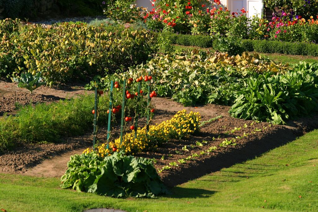 MAISON DE MAITRE Région LISIEUX Pays d'Auge