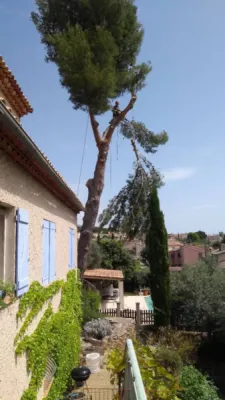 Paysagiste pour élagage à Aix en Provence : sécurité et techniques d’élagage Paysagiste pour élagage à Aix en Provence : sécurité et techniques d’élagage