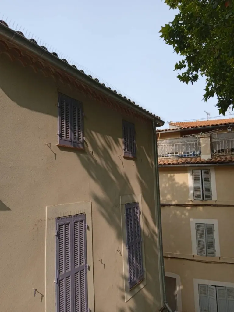 dispositif anti pigeon façade aix en provence