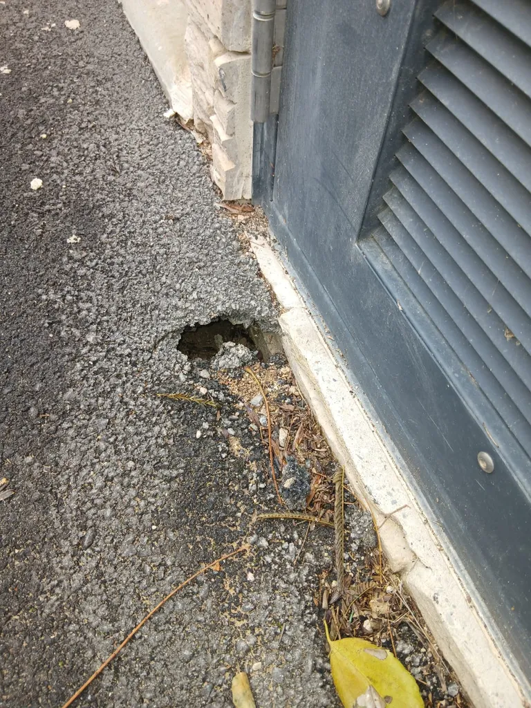 tuer les rats dans les terriers à Marseille 13013