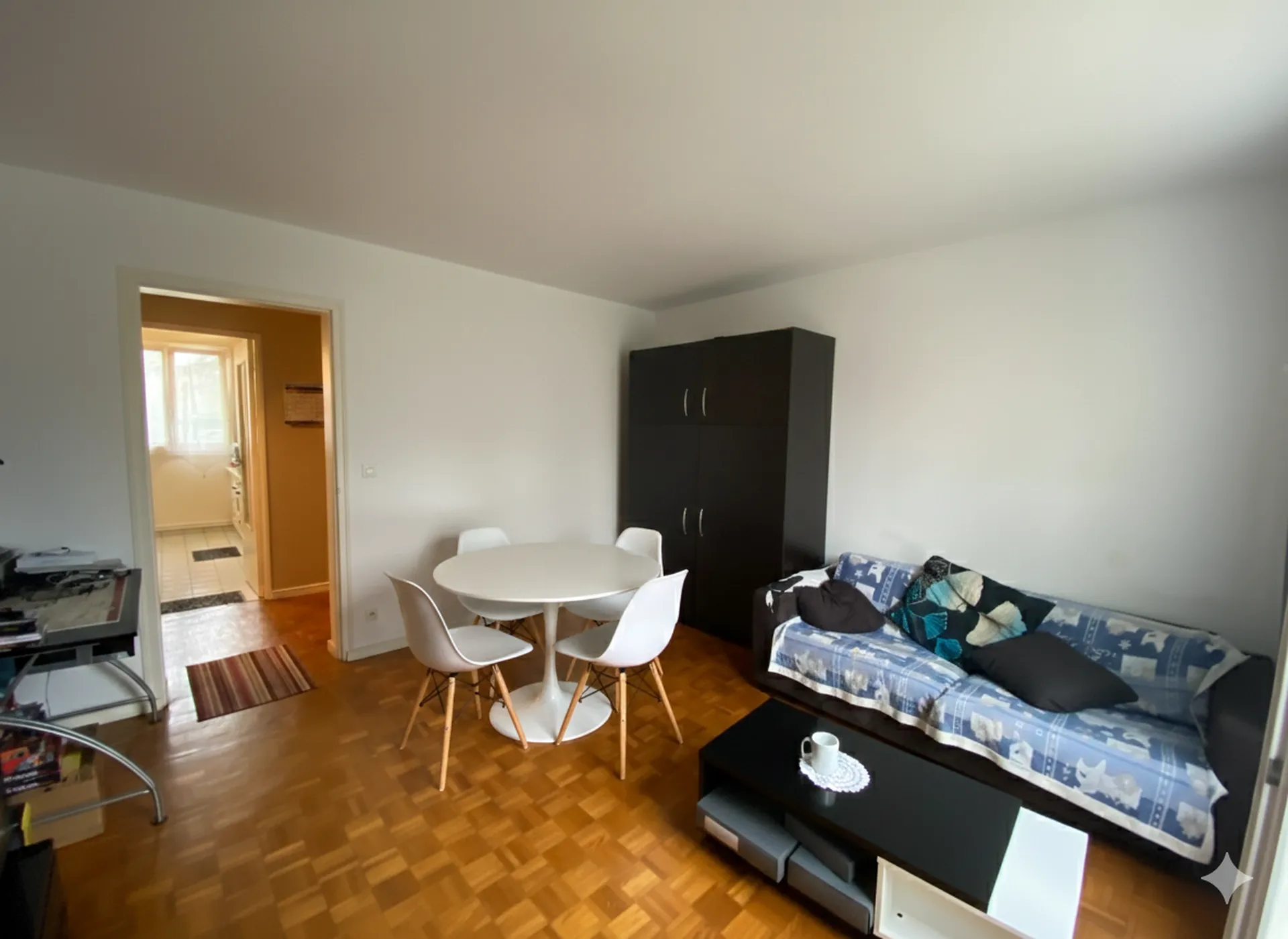 Salon lumineux studio immeuble avec gardien et cave à vendre chez Helix immobilier