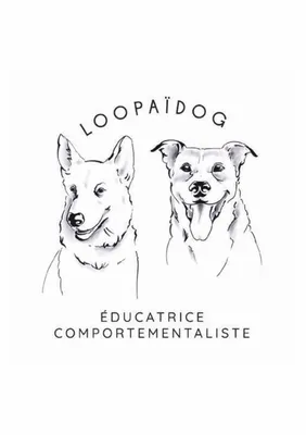 educatrice canin biscarosse