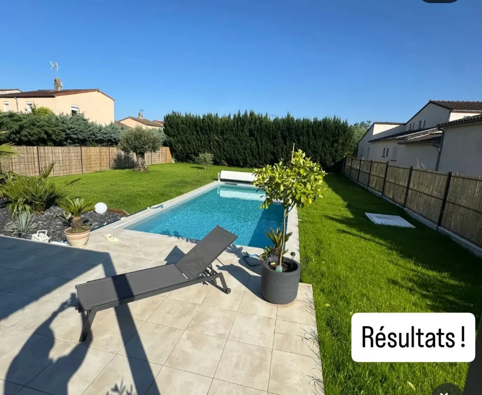 Pose de gazon naturel en rouleaux ou semé