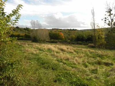 Rare à la vente, Terres Agricoles sur presque 3 hectares dans le Sud du Pays d'Auge 14