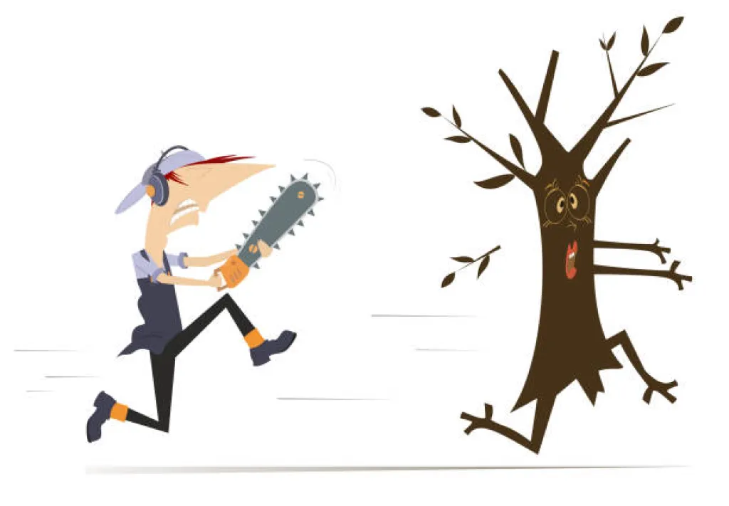 Le Réseau CBP, expert en aménagement paysager BOIS