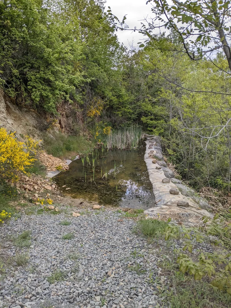 Entretien d'une mare demandé par la mairie à Denicé proche de Villefranche-sur Saône pour dégager les bords et enlever des roseaux