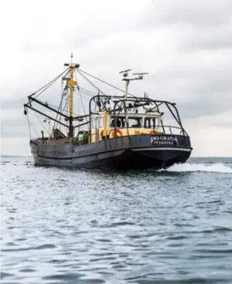 Qualité, traçabilité & respect de l’environnement – L’engagement responsable de Léon Fish Brasserie