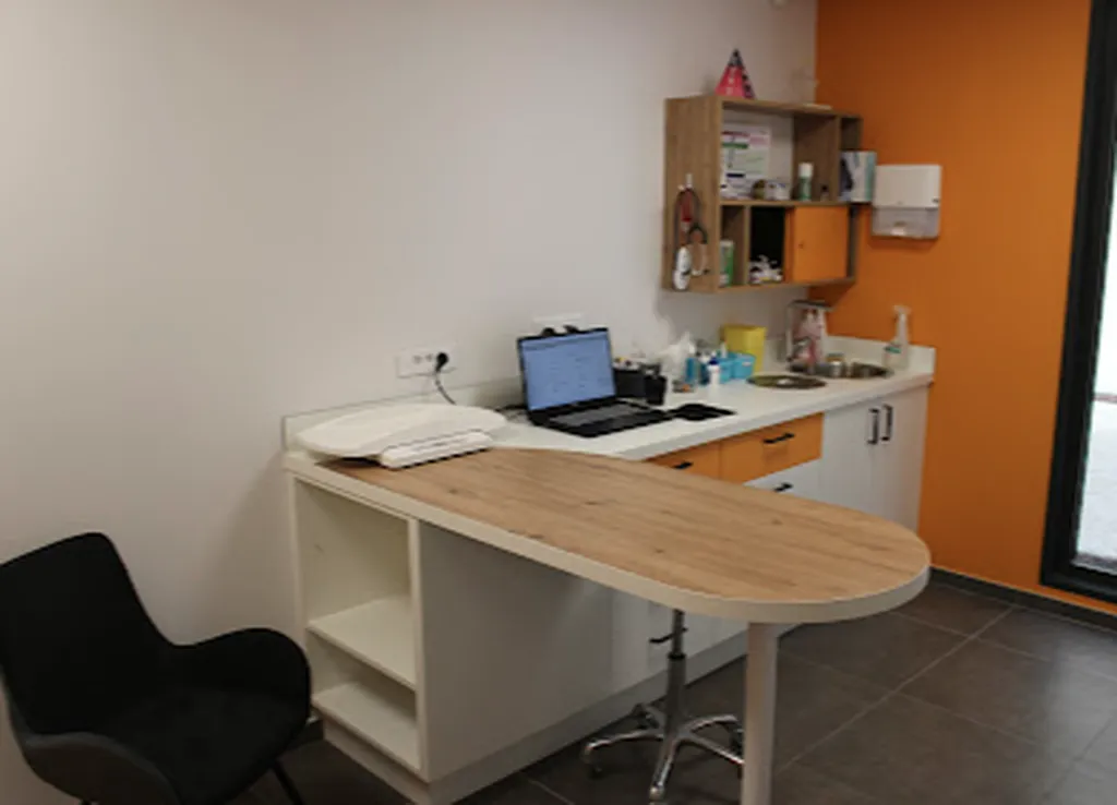 Création d'une clinique vétérinaire à saint georges de reneins rhone