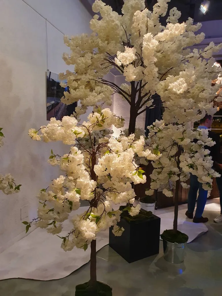Arbres décoratifs Lyon