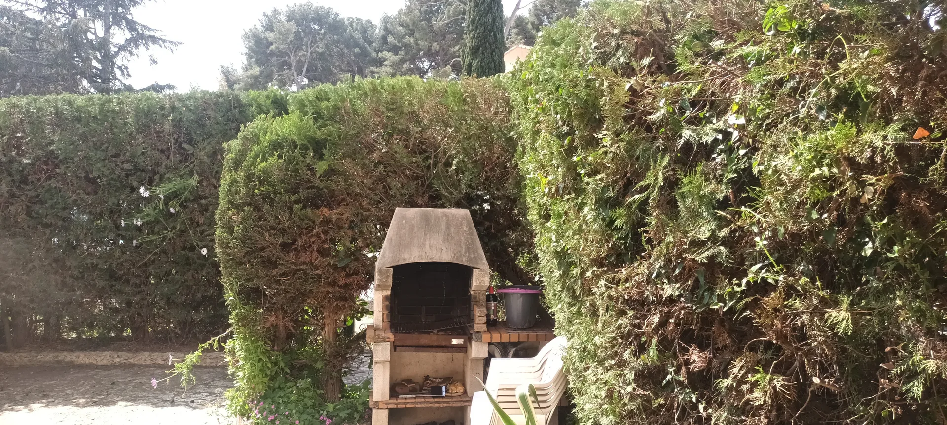 Taille de haie dans le 9ème. 