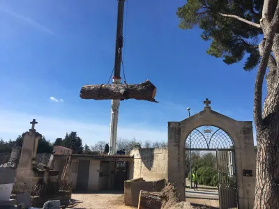 Abattage d'arbres dangereux dans un cimetière du Gard
