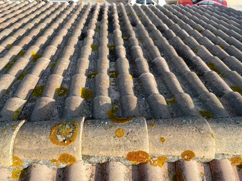 Nettoyage et traitement des tuiles mécaniques d’une toiture de maison sur Martigues