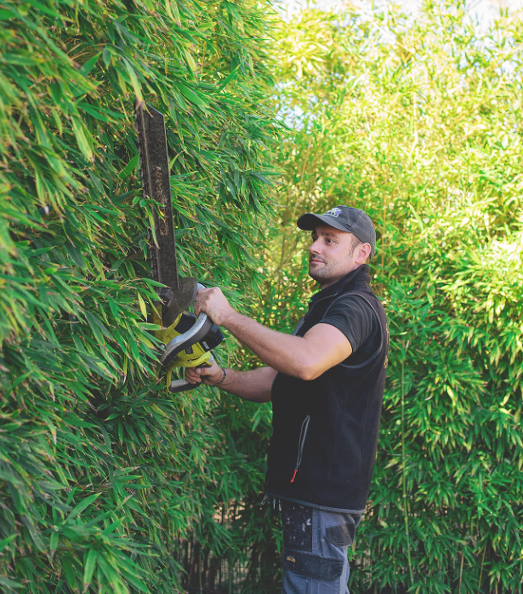 Agence de débroussaillage de jardin pour particulier et professionnels à Hyères dans le Var