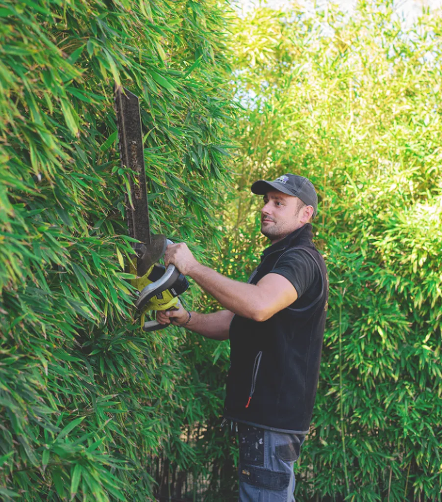 Agence de débroussaillage de jardin pour particulier et professionnels à Hyères dans le Var