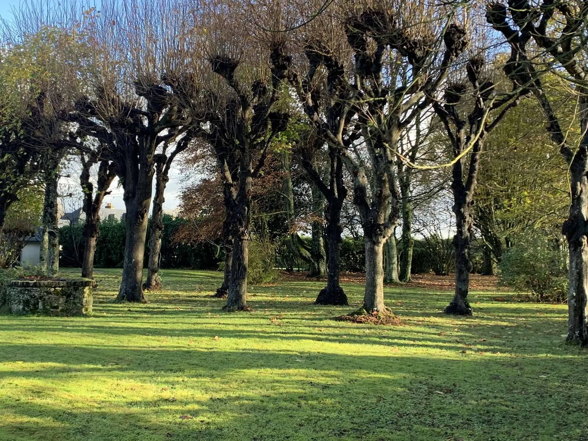 Acquisition d'une Propriété de Caractère avec Maison de Maître et 3 ha 40 a de terrain, dans le PAYS D'AUGE DU CALVADOS 14